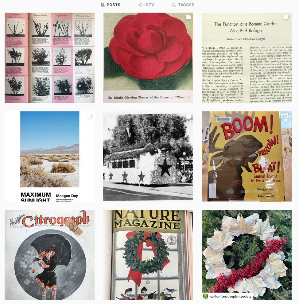 Screen Shot 2021-01-15 at 4.45.47 PM